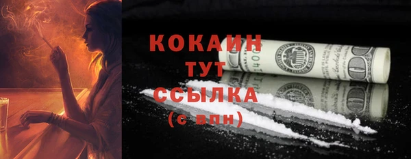 гидра Кулебаки