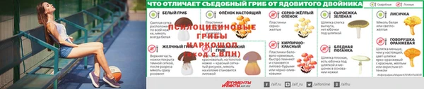 прущая мука Лабытнанги