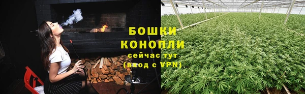 гашик Липки