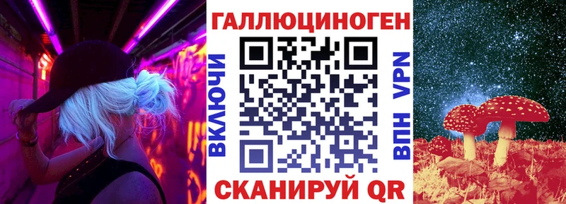 Псилоцибиновые грибы Psilocybe Катав-Ивановск